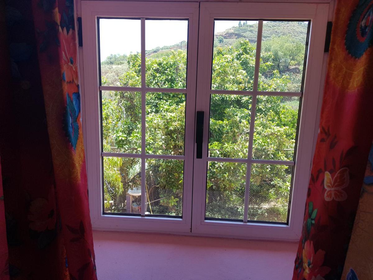Finca Rural Torres Casas 1 y 4 Bed&Breakfast Vega de San Mateo Exterior foto