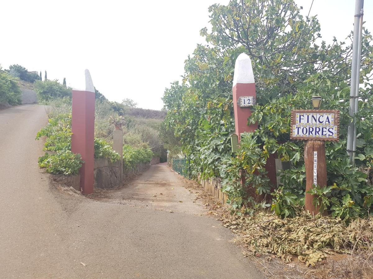 Finca Rural Torres Casas 1 y 4 Bed&Breakfast Vega de San Mateo Exterior foto