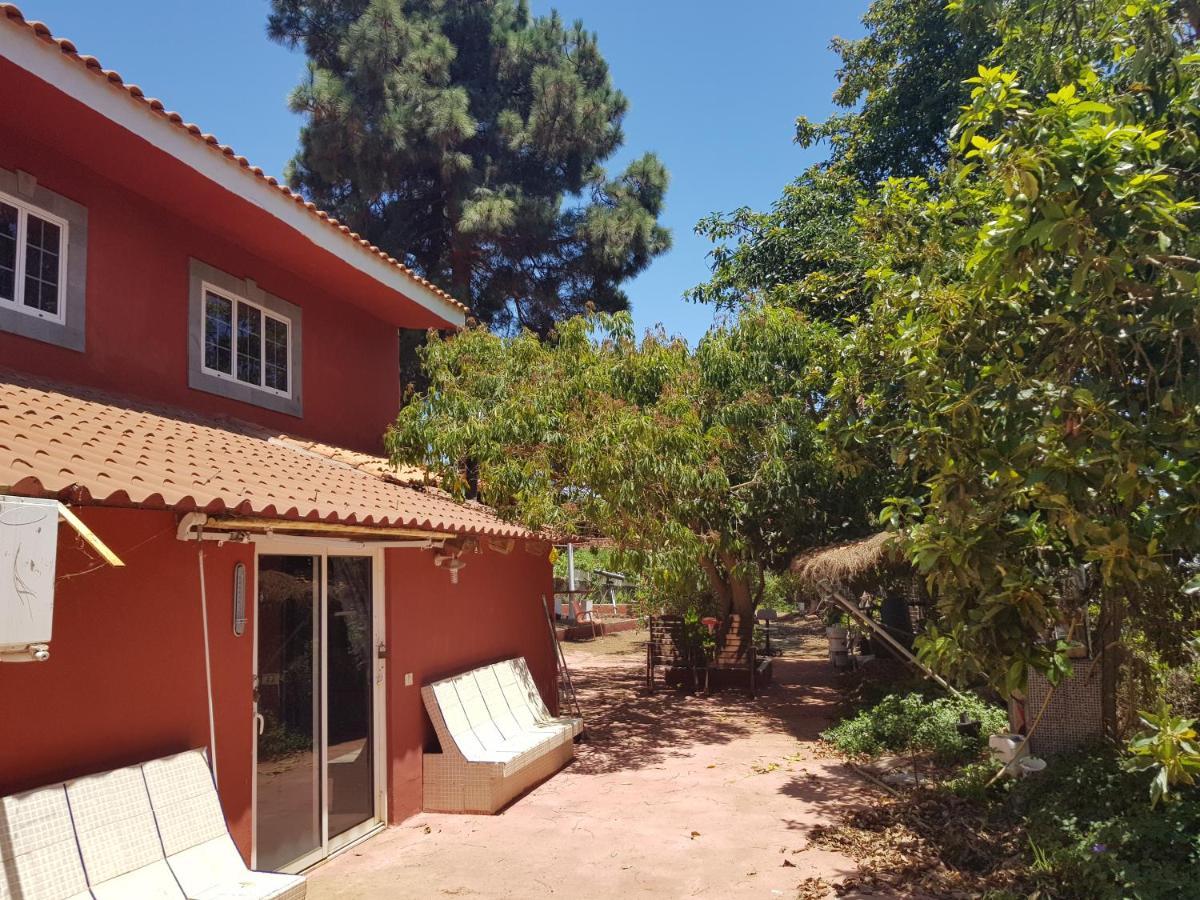 Finca Rural Torres Casas 1 y 4 Bed&Breakfast Vega de San Mateo Exterior foto
