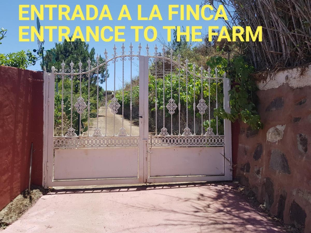 Finca Rural Torres Casas 1 y 4 Bed&Breakfast Vega de San Mateo Exterior foto