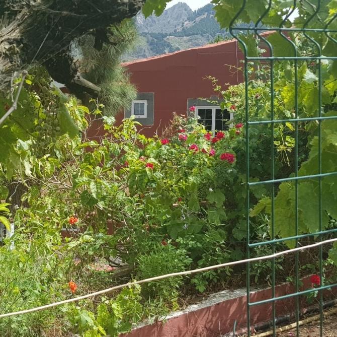 Finca Rural Torres Casas 1 y 4 Bed&Breakfast Vega de San Mateo Exterior foto