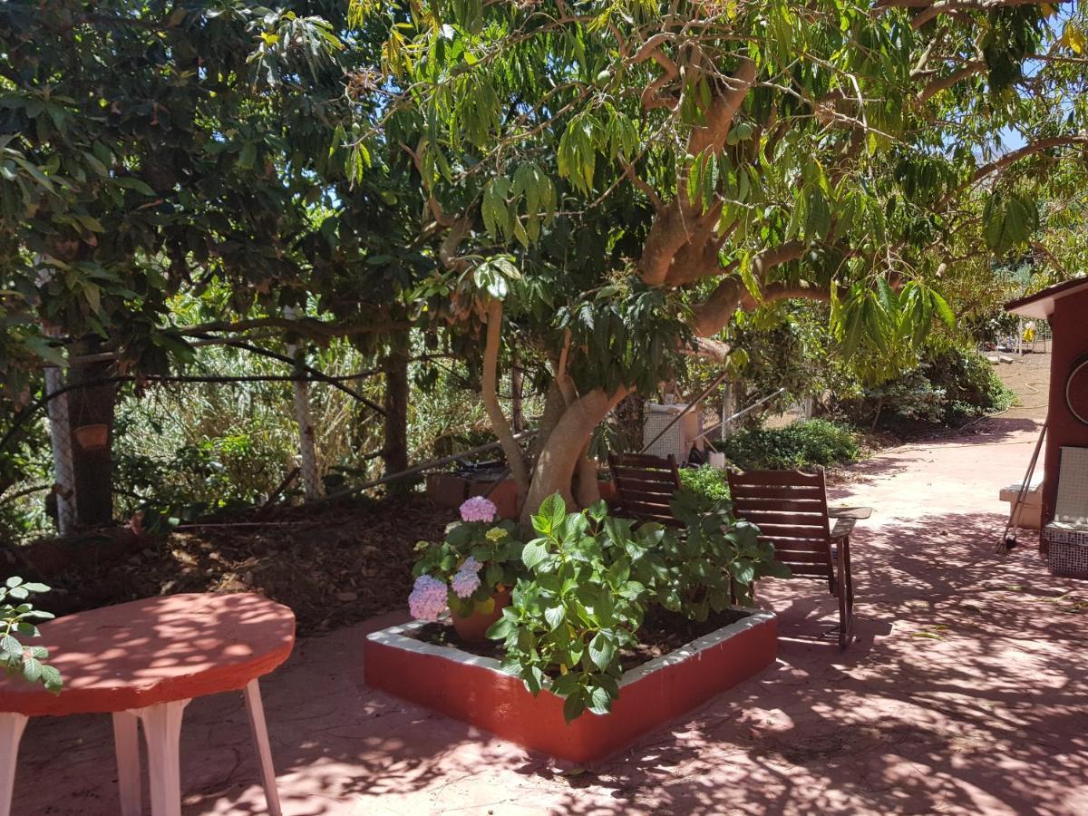 Finca Rural Torres Casas 1 y 4 Bed&Breakfast Vega de San Mateo Habitación foto
